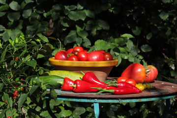 Paprika und Tomaten