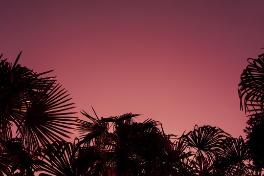 tropical sunset