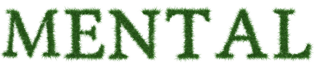 Mental - 3D rendering fresh Grass letters isolated on whhite background.