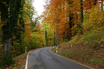 Fototapeta premium Strasse durch Herbstwald 