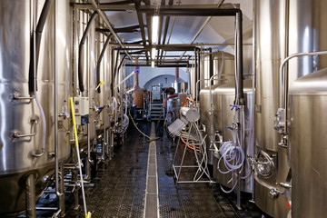 Fermenter tanks in microbrewery.