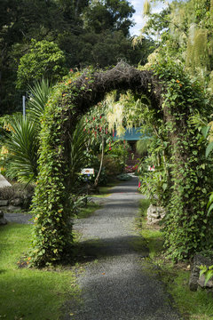 Flower And Vine Growing Around An Archway