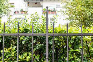 Schmiedeeiserner Zaun