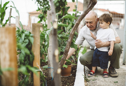 Grandfather and his grandson gardening