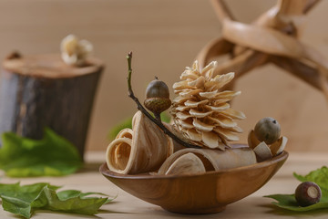Still life from fruits of oak acorns and fragments from a tree