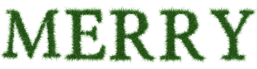 Merry - 3D rendering fresh Grass letters isolated on whhite background.