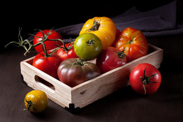 Fototapeta na wymiar Colorful fresh tomatoes. Organic agriculture and farming concept. Seasonal autumn harvest