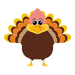 Turkey Pilgrimin on Thanksgiving Day