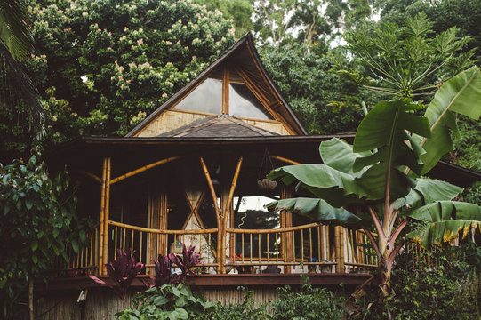 Jungle Bungalow