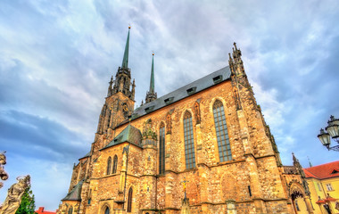 Fototapeta premium The Cathedral of Saints Peter and Paul on the Petrov hill in Brno, Czech Republic