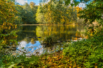 Landscape with Small lake in autumn forest, reflection on a water, under blue sky.