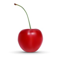 realistic cherry isolated on white background. Vector illustration