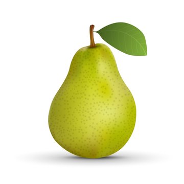 realistic pear isolated on white background. Vector illustration