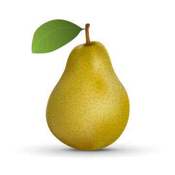 realistic pear isolated on white background. Vector illustration