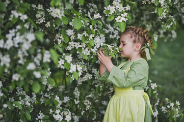 The child is about cherry blossoms 8336.