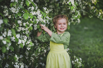 The child is about cherry blossoms 8337.