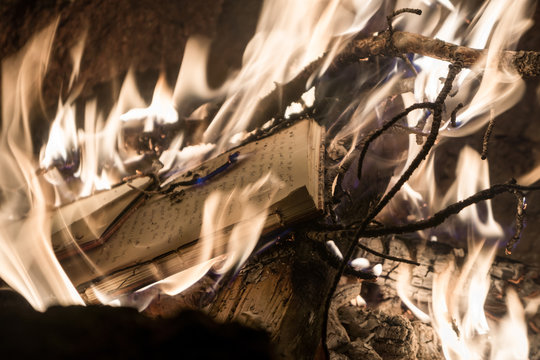Burning journal or book in campfire