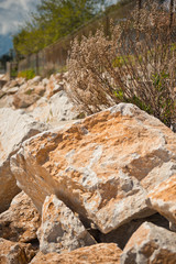 Orange rocks among the sand and pebbles 8376.