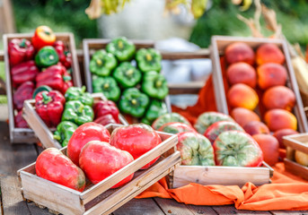 Variety of peppers and tomatoes placed in baskets next to some fruits, in a market