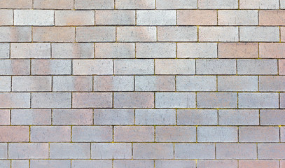 Background grey brick walkway.