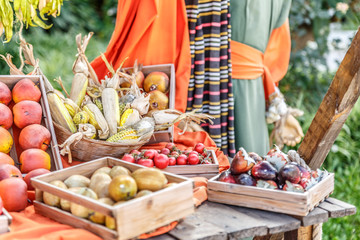 Baskets with a colorful assortment of fruits and vegetables in a farm