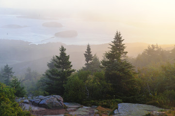 Misty morning Cadillac Mountain