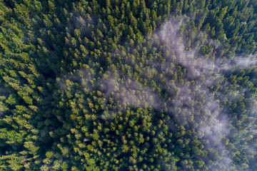 Obraz na płótnie Canvas Aerial view of Carpathian mountains. Ukraine, Europe. Concept ecology protection. Top view