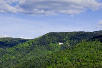Fototapeta na wymiar Single Building in a Forest ( Black Forest Region )