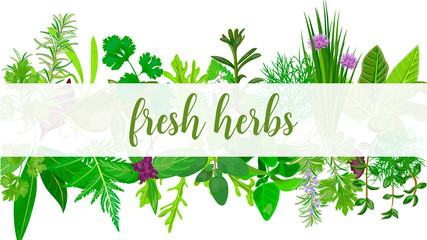 Fresh Realistic herbs and flowers with text. Horizontal. plants above and below.