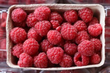 RED RASPBERRIES