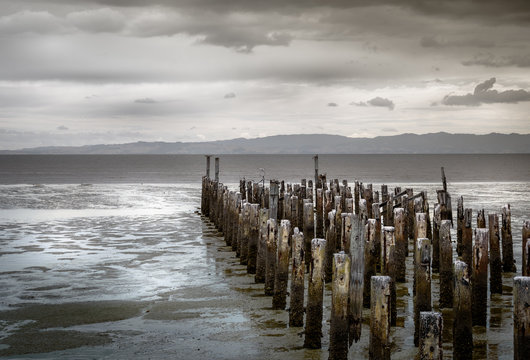 Firth Of Thames