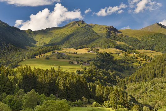 Meadows of Mallnitz, Mallnitz, High Tauern, Austria, July 2017