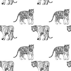 Seamless pattern of hand drawn sketch style tigers. Vector illustration isolated on white background.