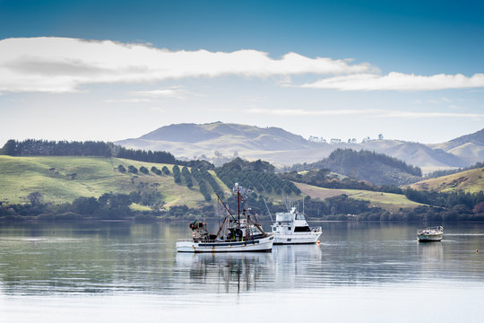 Harbour of Mangonui, New Zealand