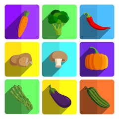 Colorful Vegetable Icon Set on Bright Background