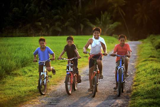 Four young boys happily riding bicycles on a rural path at 5:30 PM during golden hour. The sun is setting behind them, creating beautiful backlighting that enhances the vibrant green fields and the jo