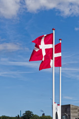 Fototapeta premium Danish flags exposed to the wind