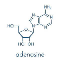 Adenosine (Ado) purine nucleoside molecule. Important component of ATP, ADP, cAMP and RNA. Also used as drug. Skeletal formula.