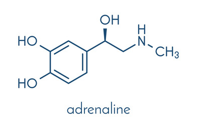 Adrenaline (adrenalin, epinephrine) neurotransmitter molecule. Used as drug in treatment of anaphylaxis Skeletal formula. - obrazy, fototapety, plakaty