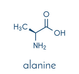 Alanine (L-alanine, Ala, A) amino acid molecule. Skeletal formula.