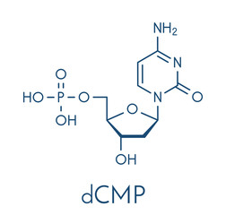 Deoxycytidine monophosphate (dCMP) nucleotide molecule. DNA building block. Skeletal formula.