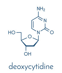 Deoxycytidine (dC) nucleoside molecule. DNA building block. Skeletal formula.