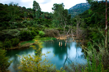 View of a lake at Patsos, with rich plantation reflected on the water, rethimno, Crete, Greece