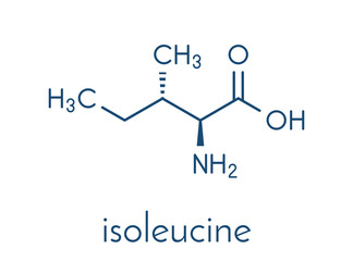Isoleucine (L-isoleucine, Ile, I) amino acid molecule. Skeletal formula.