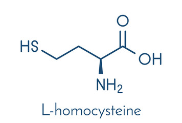 Homocysteine (Hcy) biomarker molecule. Increased levels indicate elevated risk of cardiovascular disease. Skeletal formula.