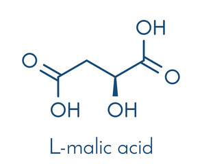 Malic acid fruit acid molecule. Present in apples, grapes, rhubarb, etc and contributes to the sour taste of these. Skeletal formula.