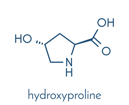 Hydroxyproline (Hyp) amino acid. Essential component of collagen. Skeletal formula.