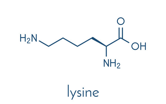 Lysine (l-lysine, Lys, K) amino acid molecule. Skeletal formula.