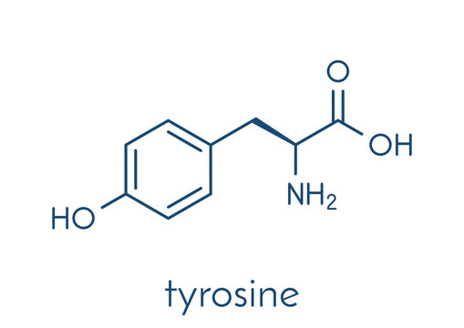 Tyrosine Images – Browse 1,704 Stock Photos, Vectors, and Video | Adobe  Stock