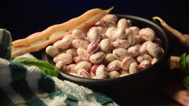 Phaseolus vulgaris Tarhapapu B&ouml;na beans Gartenbohne video fagiolo jud&iacute;as Фасоль обыкновенная bean fagiolo Fasola frijoles zwykła porotos